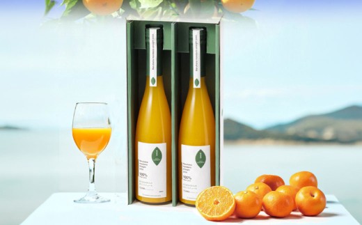 まるはなみかんのまるごとジュース 500ml × 2本 ジュース ストレート ストレートジュ－ス みかん ミカン フルーツ 果汁 果実 果物 くだもの 柑橘 甘味 コク 高濃度みかん 国産 熊本県産