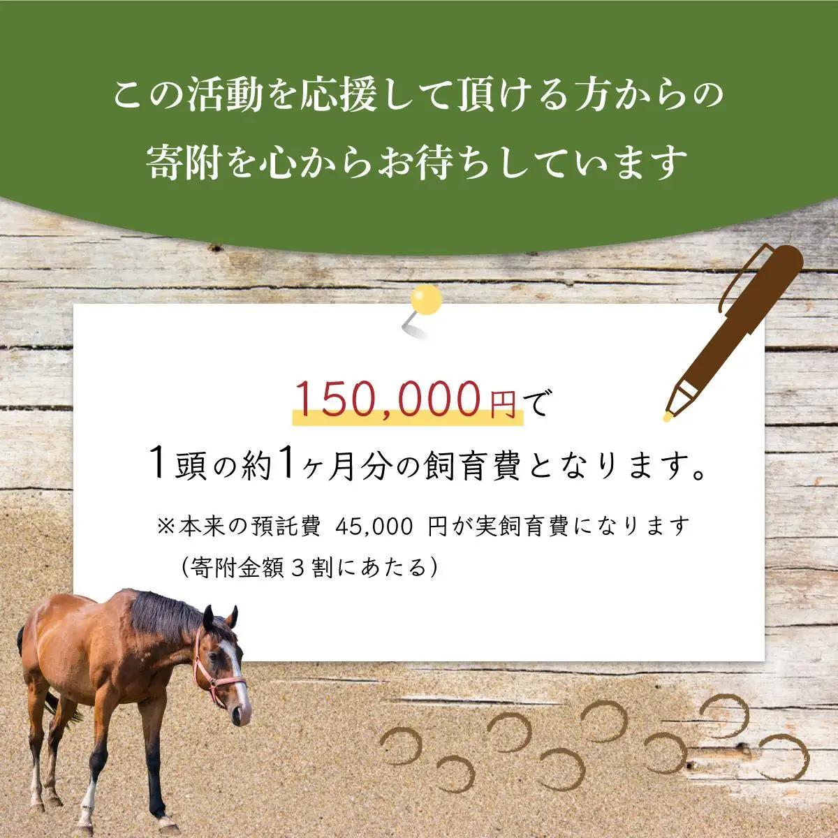 ホーストラスト北海道引退馬支援 3000円分