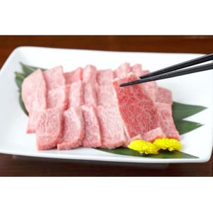 【黒毛和牛】熊本県産 焼き肉用 ロース 600g(300g×2パック)(益城町)【配送不可地域：離島】【1525201】