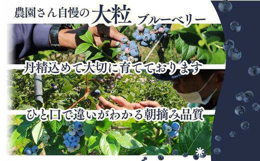 ネットで虫や鳥が入らないよう対策しています。