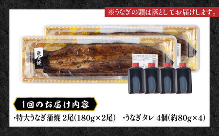 【3回定期便】うなぎ 国産 蒲焼 特大2尾 /すみまる [UDH040] うなぎ 蒲焼き