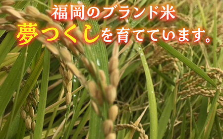 【先行予約】津田くん農園の夢つくし 10㎏【2024年10月以降順次発送】《豊前市》【株式会社くしだ企画】米 白米 お米 ご飯 [VDG002]