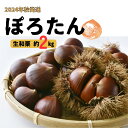 【ふるさと納税】【2024年9月発送】数量限定 　生栗「ぽろたん」約2kg【配送不可地域：離島】