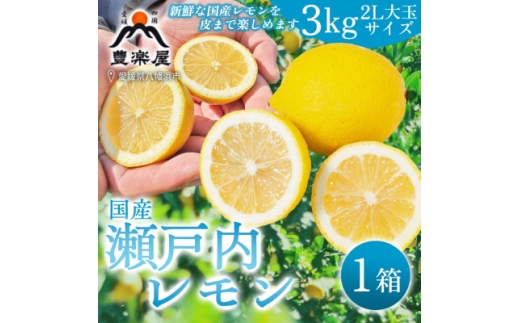 ＜防腐剤・ワックス不使用で安心＞真穴産地直送の国産レモン 3kg(2Lサイズ 大玉)＜C98-7＞【1711280】