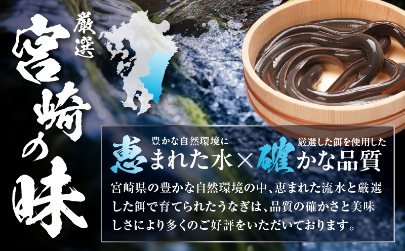 うなぎ白焼(超特大サイズ) 1尾 うなぎ ウナギ 鰻 白焼き 白焼 宮崎県産 蒸し焼き 冷凍