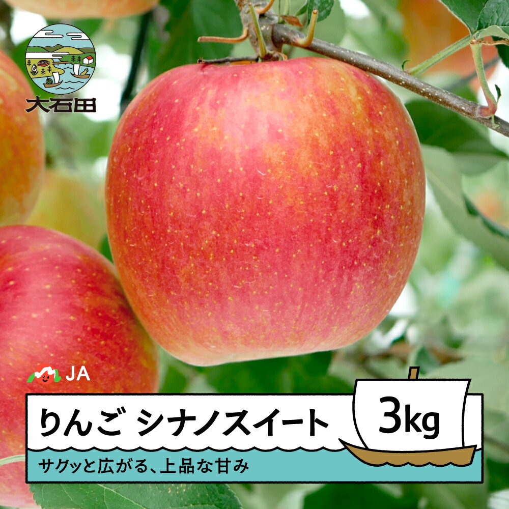 【ふるさと納税】 先行予約 りんご シナノスイート 約3kg 令和8年産 2026年産 果物 フルーツ 果樹 送料無料 ※沖縄・離島への配送不可