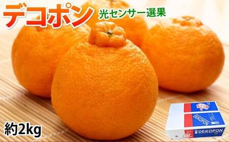 デコポン I12光センサー選果 約2kg （5～10玉） 【2025年12月上旬から2026年5月下旬発送予定】 でこぽん 蜜柑 みかん 果物 果実 フルーツ 熊本県 熊本市 常温