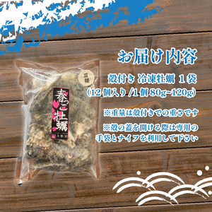 殻付き 春っこ 牡蠣 1袋 ( 12個入り ) 生食用 冷凍 数量限定 カキ かき 殻付き牡蠣
