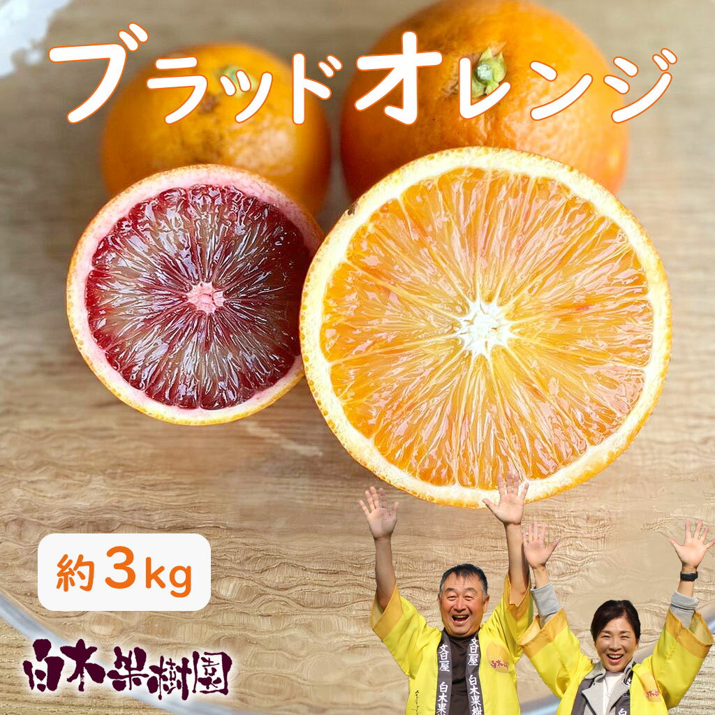 【ふるさと納税】【先行予約】ブラッドオレンジ　約3kg　〈2027年2月中旬〜3月中旬頃発送〉 / 果物　柑橘　フルーツ　オレンジ　高知県土佐市　お取り寄せ 産地直送　おいしい 美味しい　白木果樹園【白木果樹園】[BQAI042]