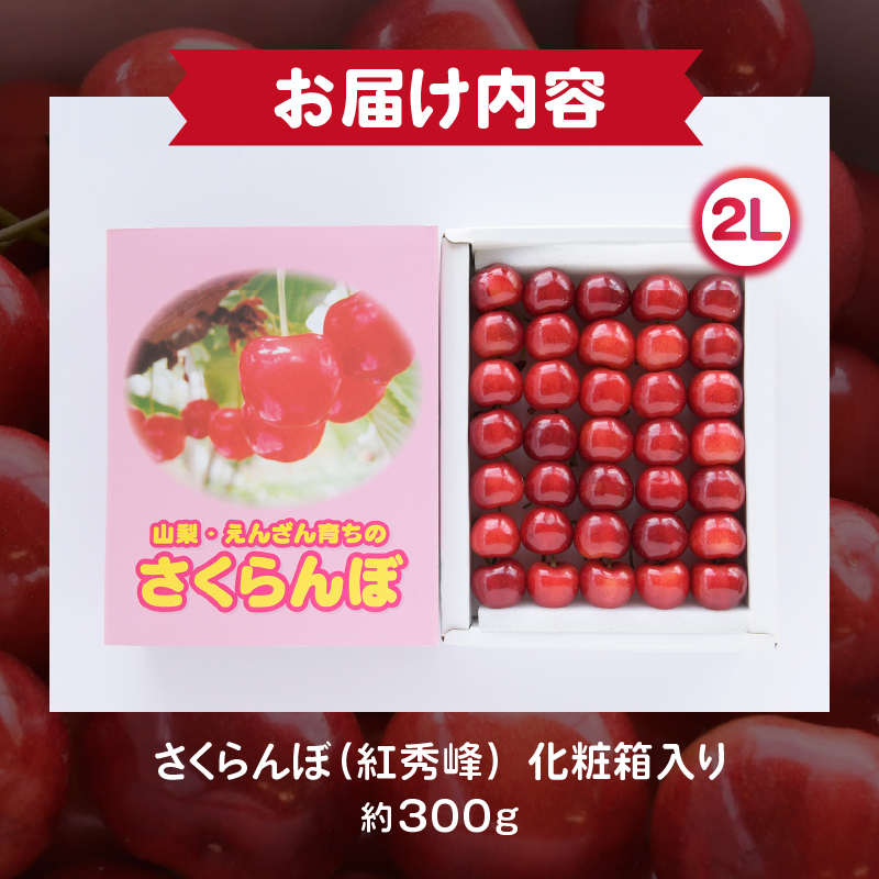 大粒さくらんぼ童夢の「紅秀峰」化粧箱（約300g2Lサイズ）【2024年発送】（DOM）B12-141