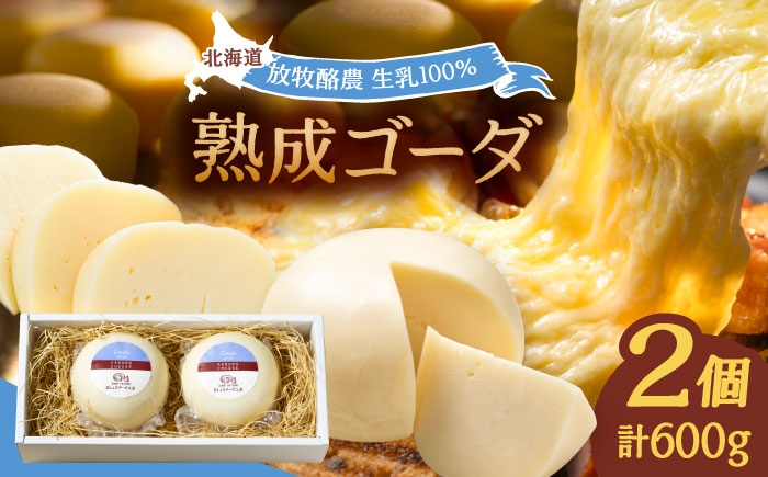 
            北海道 ゴーダチーズ 300g×2個《足寄町》【合同会社あしょろチーズ工房】 北海道産 十勝チーズ セミハードチーズ ゴーダ 乳製品 生乳 加工品 おつまみ もちもち 冷蔵 十勝 あしょろ 13000 13000円 [BEAU001]
          