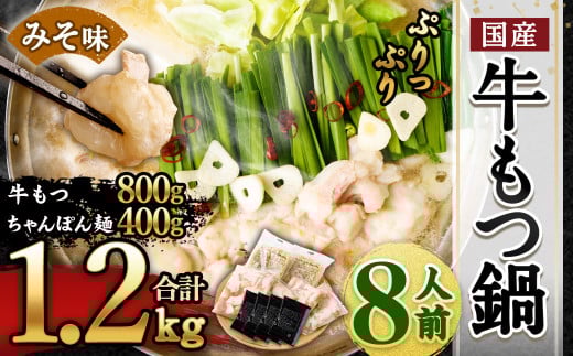 【2025年12月発送】国産 牛もつ鍋 8人前 ちゃんぽん 濃縮スープ付（みそ味）