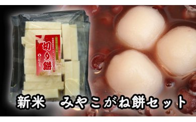 880705 お正月におすすめ！「みやこがね餅」と「ゆべし」セット