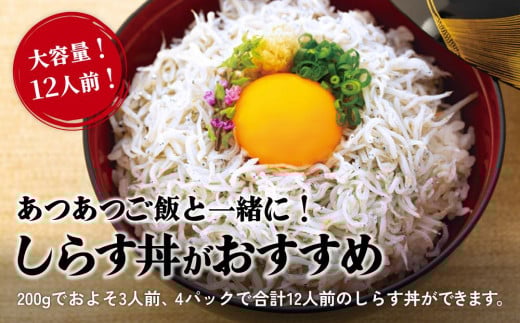 しらす 釜揚げ 800g ( 200g × 4パック ) 冷凍 小分け 約12人前 しらす丼 丼ぶり 魚 さかな ご飯 ごはん 炒飯 チャーハン パスタ スパゲティ サラダ 卵焼き 釜揚げ 釜揚げしら