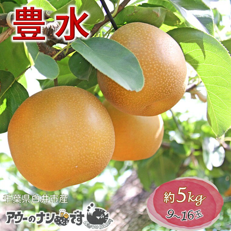 【ふるさと納税】【2026年秋収穫分】豊水 先行予約 梨 5kg 9～16玉 10箱限定 農家直送 採りたて もぎたて 新鮮 果汁たっぷり 甘い みずみずしい 美味しい おすすめ アウーファーム【お届け地域限定】