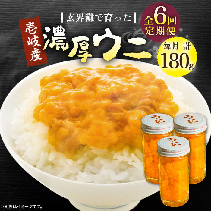 【ふるさと納税】【全6回定期便】壱岐産 濃厚 ウニ 60g ×3本《壱岐市》【合同会社塚元】ムラサキウニ 海産物 海鮮 うに 雲丹 珍味[JDR039]