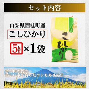 コシヒカリ 5キロ 1袋 / 国産 こしひかり  5キロ 令和7年 新米 米 お米 保存袋 生活必需品 ギフト 贈り物 お歳暮 ふるさと納税 送料無料【n0663-05_gou】