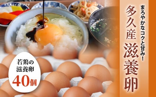 
            まろやかなコクと甘み 滋養 卵 40個 若鶏の滋養卵 たまご タマゴ 鶏卵 玉子 大容量 たまごかけご飯 たまごかけごはん ゆでたまご オムレツ | まろやかなコクと甘み！多久産 滋養卵 _a-92
          