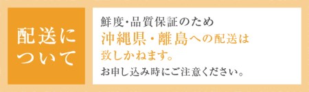 桃 3kg（7～12玉入）【厳選数量限定】山梨県甲州市産 桃 産地直送【2024年発送】（ORJ）B18-801