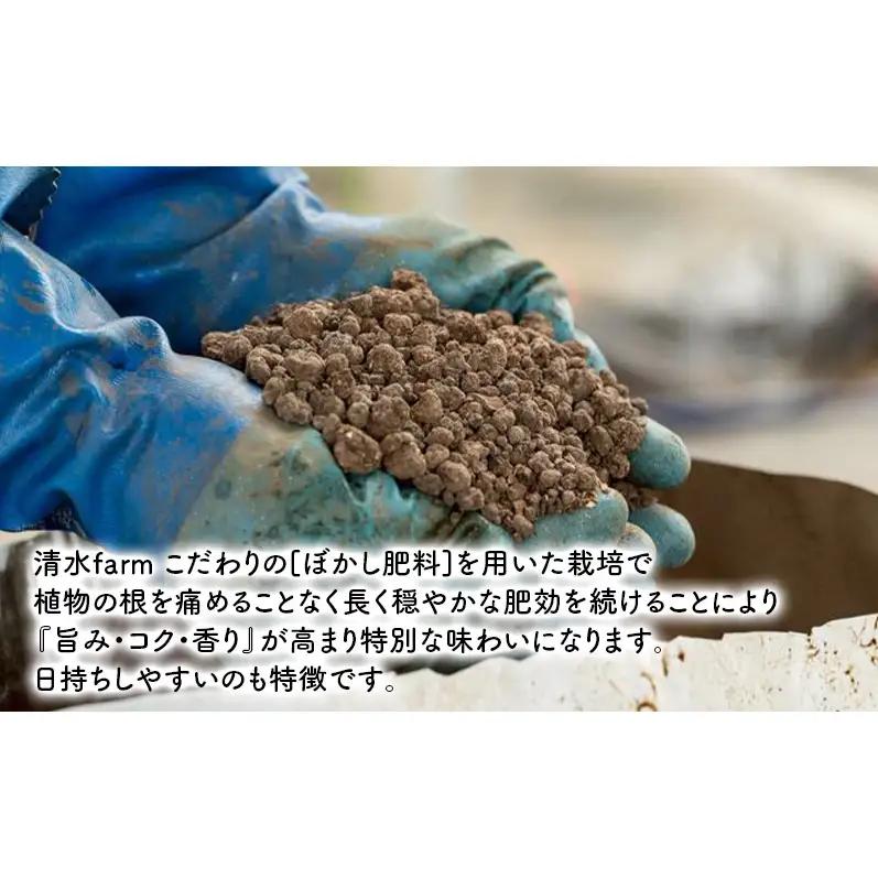 【2027年4月～発送】富良野産 採れたて直送! グリーンアスパラ 「雫」L～Mサイズ【約2kg】 (清水farm) アスパラ アスパラガス 野菜 新鮮 季節限定 北海道 富良野 ふらの