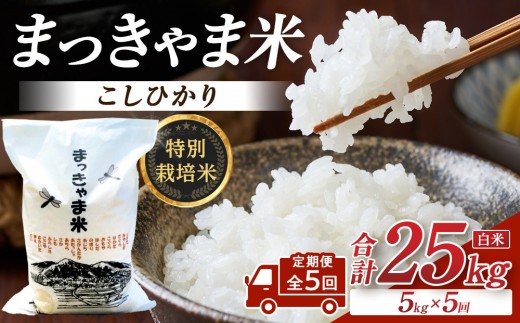 米 （毎月／全5回）【白米】定期便　特別栽培米 石川県産こしひかり棚田米”まっきゃま米” ｜ 　金沢市 お米 こめ 白米 食品 米 コシヒカリ ふるさと納税 米通販 高級米 国産米 ブランド米 日本米 新米 精米 産地直送 米ギフト 米料理 用途別米 米食文化 米農家 特別栽培米 米品種 米品質 米栽培技術 食感良好米 石川 金沢 加賀百万石 加賀 百万石 北陸 北陸復興 北陸支援