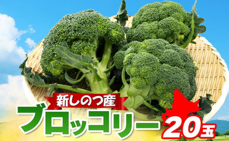 北海道 新しのつ産 ブロッコリー 20玉 冷蔵 野菜 旬 食感 茹でる レンジ サラダ 炒め物 オーブン焼き おかず お弁当 甘い お取り寄せ 国産 農作物 JA 新篠津村 