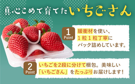 【先行予約】こだわりいちごさん 約230g×4パック（計920g以上）/新規就農 いちご 佐賀県産 イチゴ 苺 土耕栽培いちご 甘〜いいちご 大容量パックいちご イチゴ 苺 佐賀県産いちご ブランドい