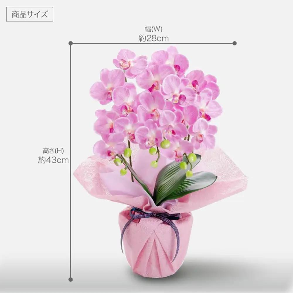 枯れないアーティフィシャルフラワー ミニ胡蝶蘭 3本立ち フレッシュピンク SC触媒加工済