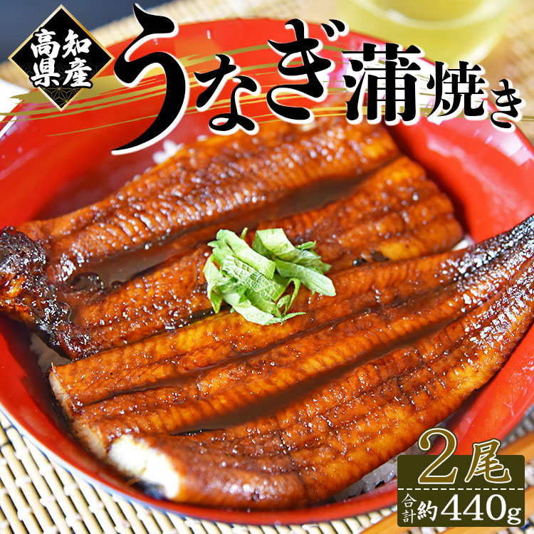 国産養殖うなぎ蒲焼き 2尾（合計約440g）高知県産鰻 - 鰻 ウナギ かばやき 蒲焼 土用の丑の日 スタミナ 夕飯 有頭 約220g おかず おつまみ うな丼 うな重 丼ぶり 丼物 さかな 肴 夕飯 夕食 朝食 お酒 グルメ 美味しい おいしい タレ付き たれ おいしい 美味しい ひつまぶし 丼ぶり 贅沢 ぜいたく お取り寄せ おとりよせ パック お祝い 内祝い 御礼 お礼 お歳暮 うなぎ大好き お礼 御礼 挨拶 あいさつ 贈り物 送料無料 高知県 香南市 冷凍 fb-0012