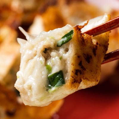 「餃子専門店工場直送60個」北の匠3種セットC(手作り餃子・ラクレットチーズ餃子・行者にんにく餃子)【配送不可地域:離島】【1484473】