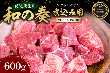 農林水産大臣賞受賞 特選 天童牛 " 和の奏 " 煮込み用 600g 山形牛 和牛 牛肉 08-27-008