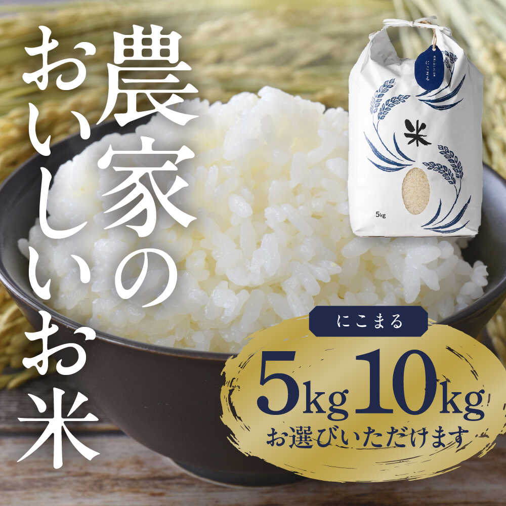 【ふるさと納税】＼選べる品種・内容量／ 白米 5kg ～ 10kg 特別栽培米 お米 ご飯 愛知県産 米 精米 愛西市／株式会社TONORI[AECT016]