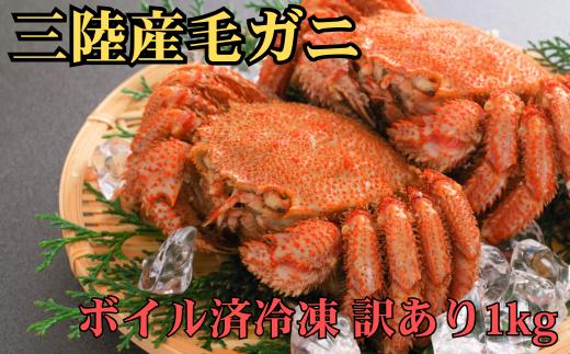 【期間限定3月より発送】訳アリ三陸産活毛ガニ ボイル済冷凍 1kg 【35】天然 国産 冷凍 三陸 直送 濃厚 かに 蟹 カニ 毛ガニ 毛蟹 毛がに 初栄丸