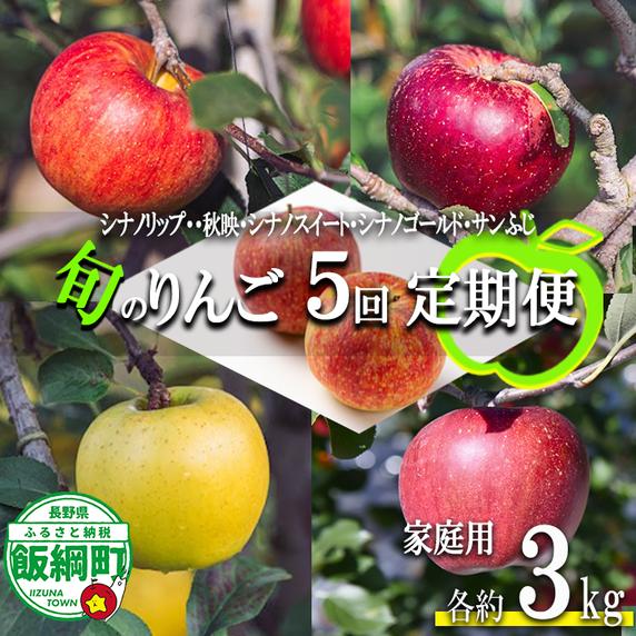 旬のりんご 【 定期便 】 家庭用 3kg × 5回 信州いいづな 相