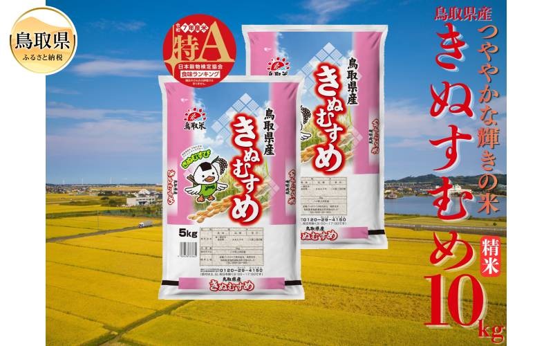 
                  きぬむすめ◇鳥取県産◇精米10kg_T2600517　きぬむすめ、精米、白米、ご飯、銘柄米、鳥取県、鳥取県産
                