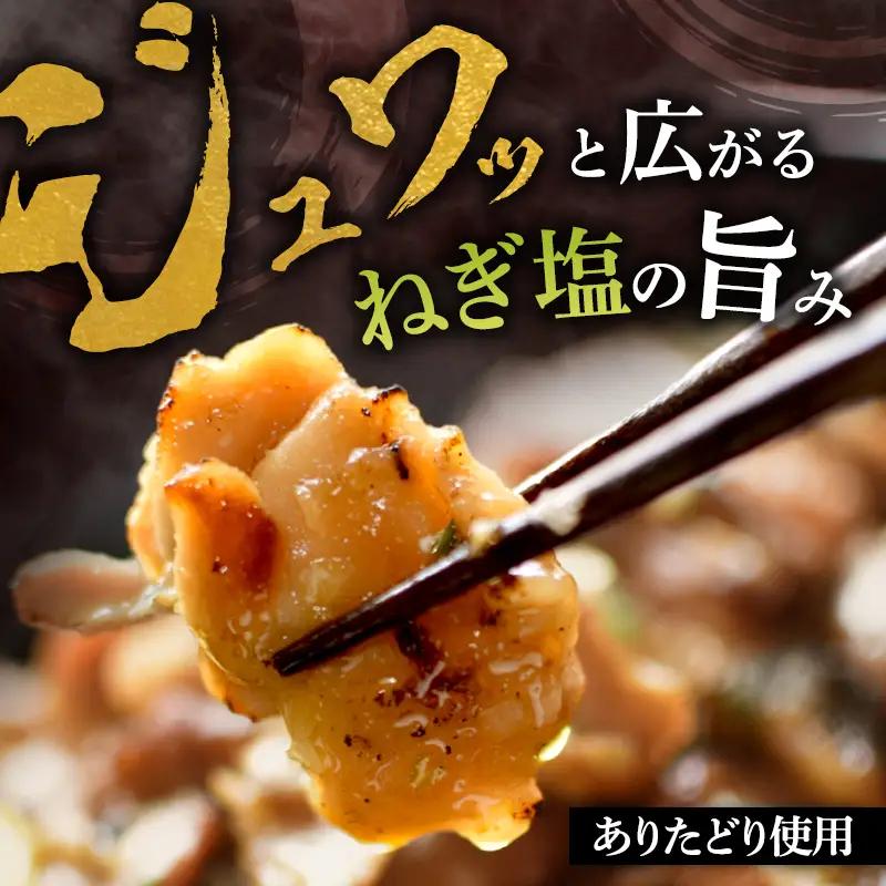 ありたどり ねぎ塩仕込み 鶏肉 佐賀県産 ありたどり【500g×2P】