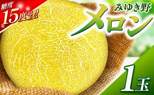 みゆき野メロン1玉 | メロン みゆき野メロン みゆき野 フルーツ 信州 木島平 北信州