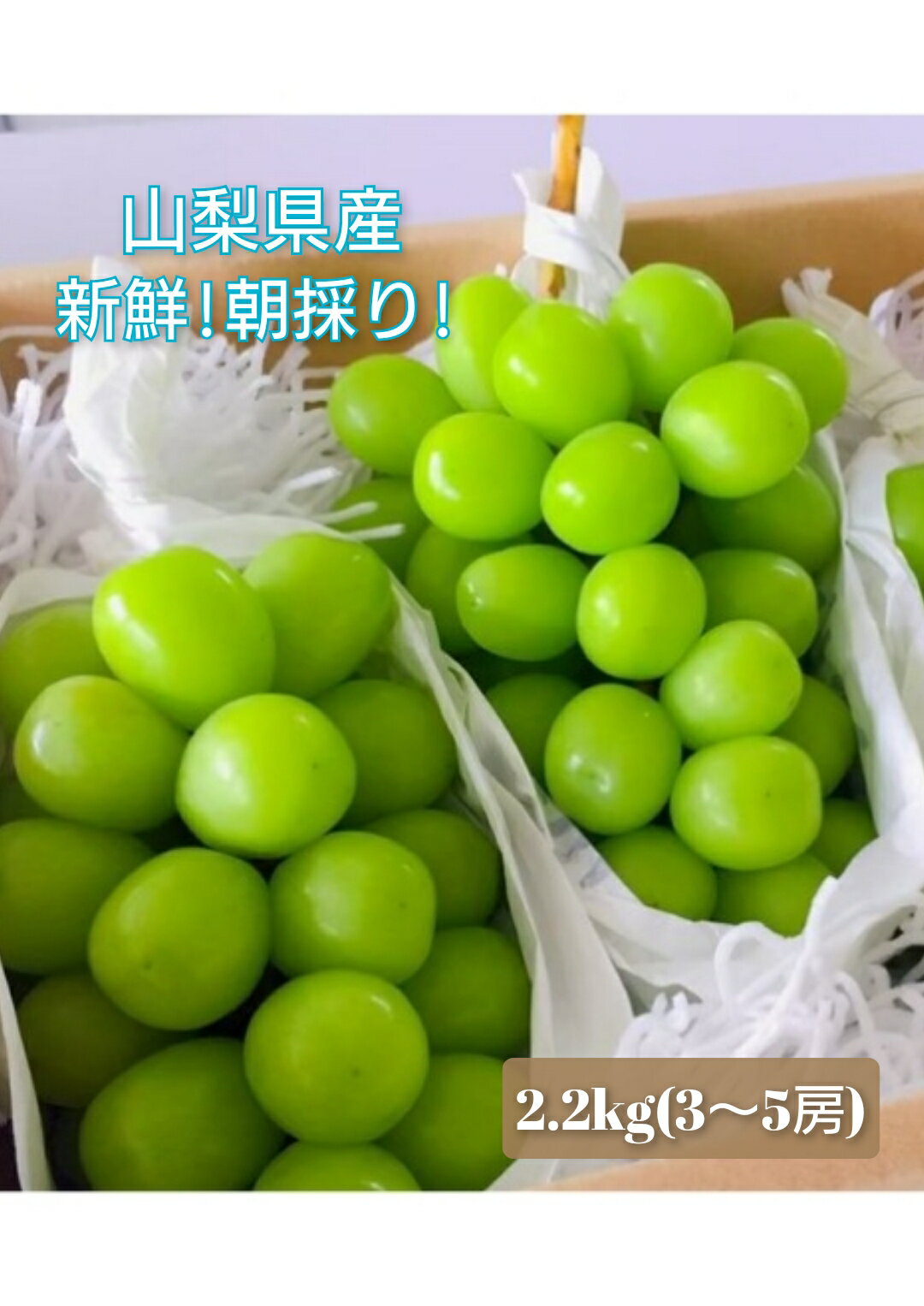 【ふるさと納税】【2026年発送★先行予約】 産地厳選シャインマスカット　2.2キロ～2.5キロ(3～5房)　山梨 やまなし フルーツ 笛吹 ふえふき ぶどう 葡萄 ブドウ 甘い ※沖縄県及び離島への配送はできませんので予めご了承ください。
