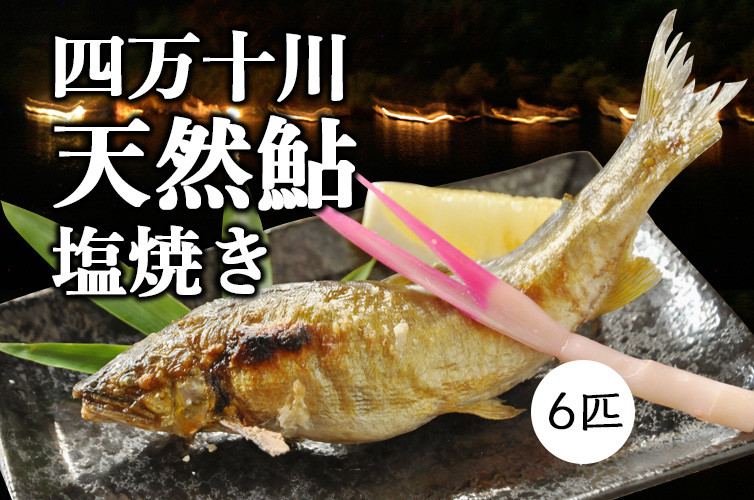 
職人が丁寧に炭火焼！四万十川の「天然鮎の塩焼き」6匹　Qdr-152 ／天日塩 アユ あゆ 冷凍 しまんと 高知 火振り漁 ギフト 贈り物 プレゼント お取り寄せ レンチン レンジでチン
