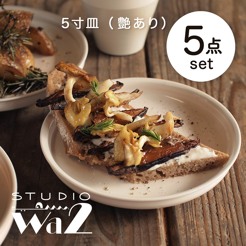 【波佐見焼】KINU 5寸皿 5点セット（艶あり）【studio wani】 [MB79]