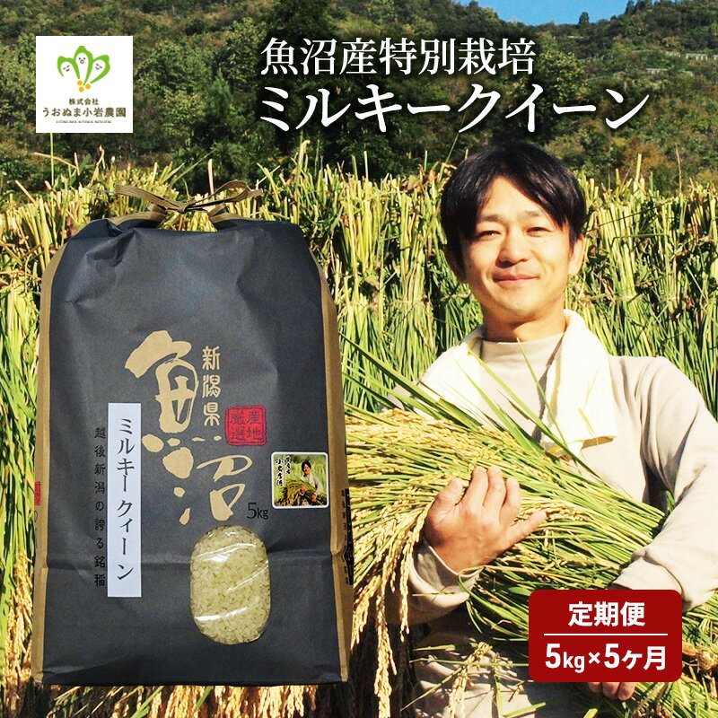 【ふるさと納税】米 定期便 5ヶ月 ミルキークイーン 5kg 精米 白米 お米 ミルキークィーン 新潟米 新潟 魚沼市 定期 5回