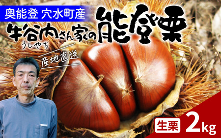 【先行予約】牛谷内農園の能登栗～低温熟成させたあま～い能登栗～【2025年9月中旬より順次発送】/ 能登半島 奥能登 和栗