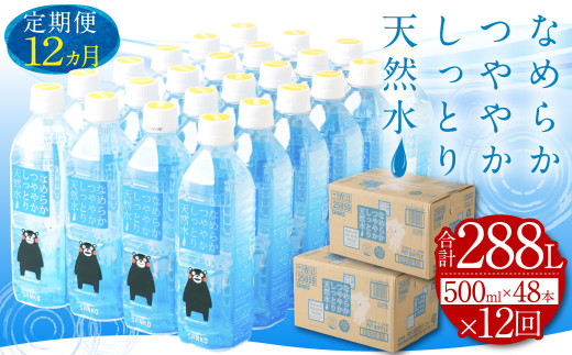 
【12ヶ月定期便】なめらかつややかしっとり天然水 500ml PET 24本×2ケース（計576本）シリカ水
