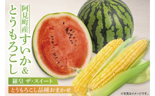 【6月末から7月下旬までの発送】すいかとトウモロコシのセット 羅皇 ザ・スイートＬサイズ1玉とトウモロコシ約5kg【糖度が高い スイカ 朝採れ 甘い とうもろこし 玉蜀黍】(84-08)
