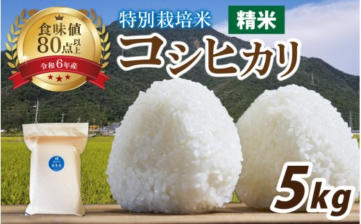 【令和7年産】南条米 特別栽培米コシヒカリ 真空パック 5kg / コシヒカリ こしひかり 小分け 精米 白米 お米 こめ コメ