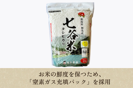 【定期便3回隔月お届け】【2024年先行予約】【令和6年産新米】老舗米穀店が厳選 新潟産 従来品種コシヒカリ「七谷米」無洗米8kg（2kg×4）窒素ガス充填パックで鮮度長持ち 金子米店 定期便 定期購