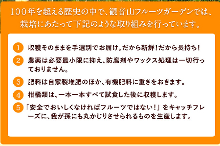 観音山みかん(とろコク一番人気) 4kg 有限会社柑香園《2024年11月中旬-2025年1月下旬頃出荷》和歌山県 紀の川市 フルーツ 果物 柑橘 みかん