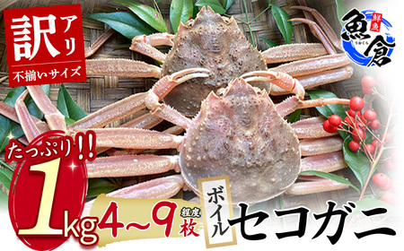 【松葉ガニ/3月上旬までの受付】【魚倉】（ボイル）不揃いサイズ 訳ありたっぷり 1kgセット ズワイガニ 国産 訳あり 鳥取県 倉吉市