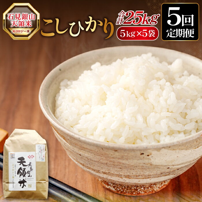 【ふるさと納税】 【5回定期便】 石見銀山天領米 コシヒカリ 5kg×5回お届け 合計25kg 米 こしひかり エコロジー米 氷感熟成 減農薬 減化学肥料 ご飯 ごはん 朝食 お弁当 おにぎり 国産 島根県産 大田市産 特産品 お取り寄せ