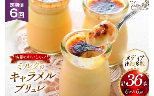 キャラメル ブリュレ プリン 6種×1個 計6個 セット 6回 定期便 総計36個 [心優-Cotoyu Sweets- 長崎県 平戸市 hr42bgy420125] なめらか 生キャラメル パンナコッタ カラメル ご褒美 